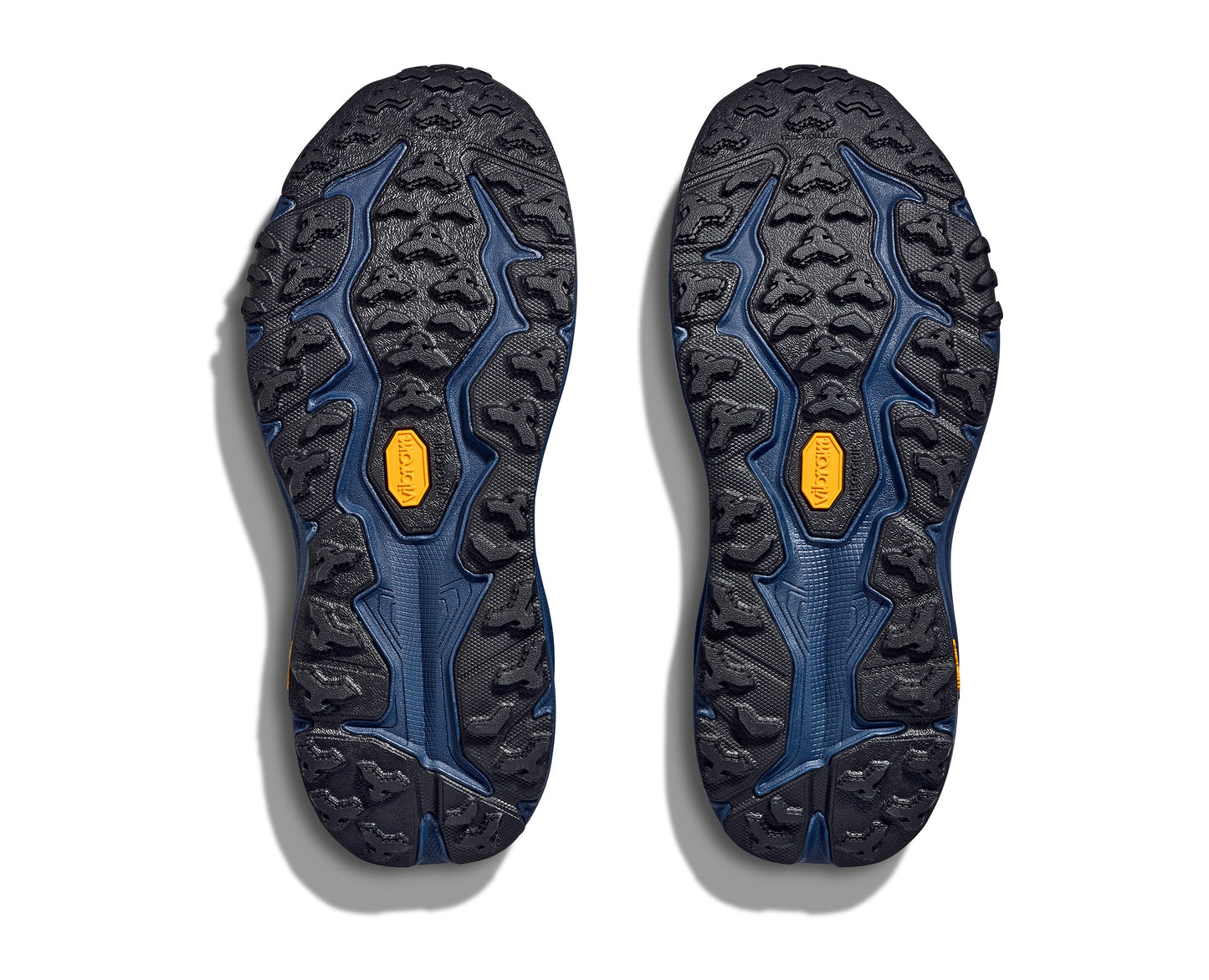 WOMEN'S SPEEDGOAT 6 GTX