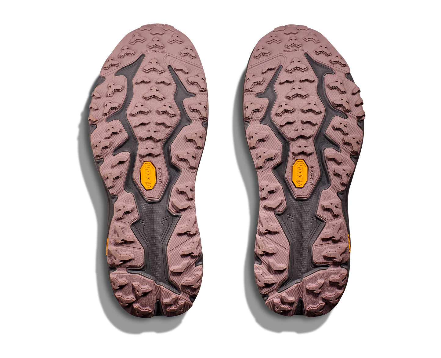 WOMEN'S SPEEDGOAT 6 GTX