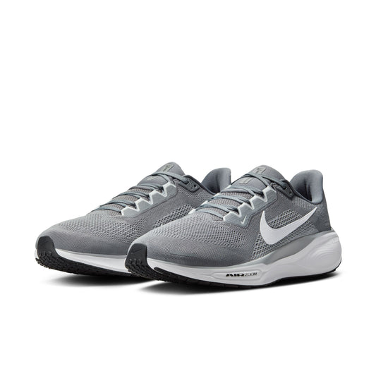 MEN'S PEGASUS 41