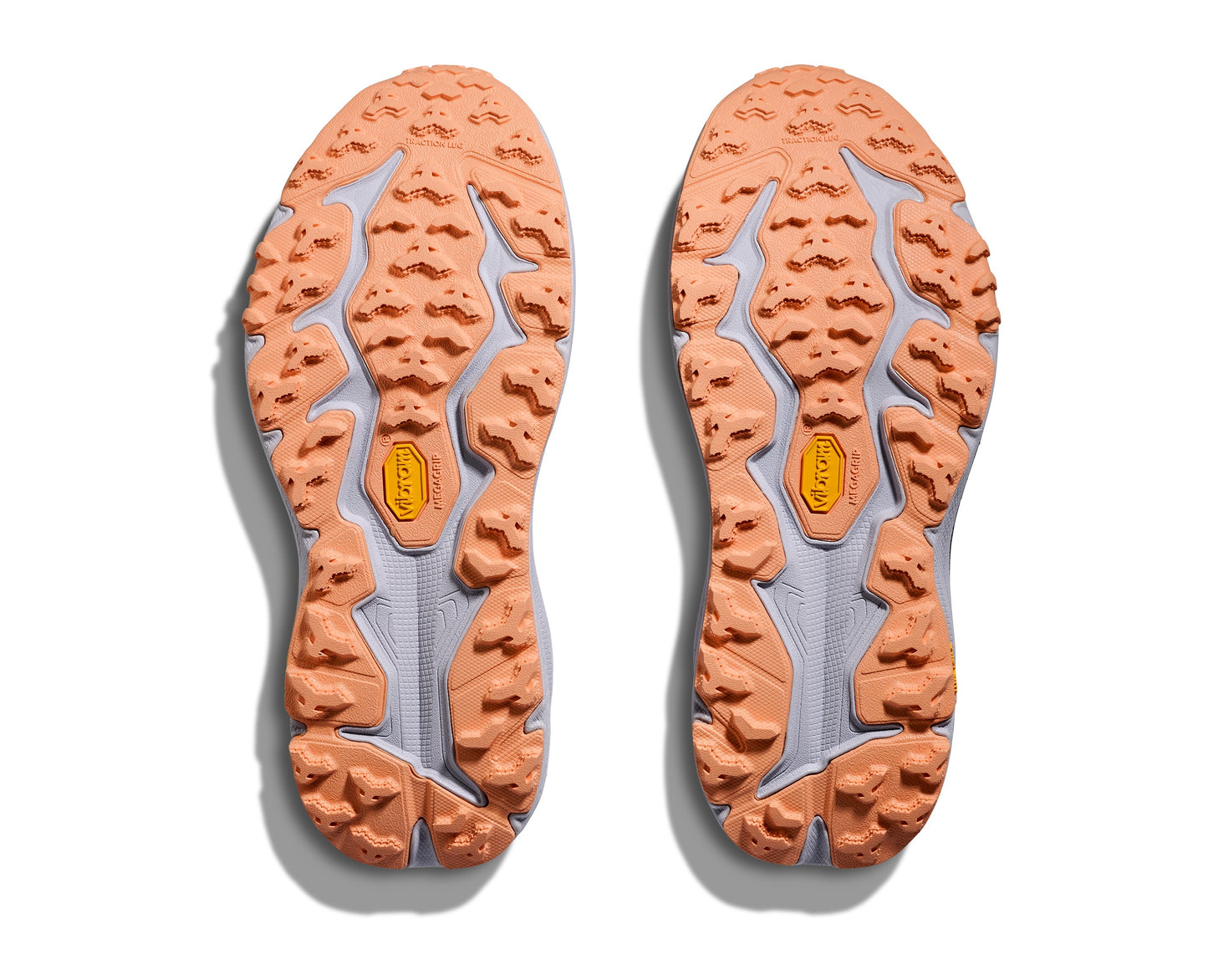 WOMEN'S SPEEDGOAT 6 GTX