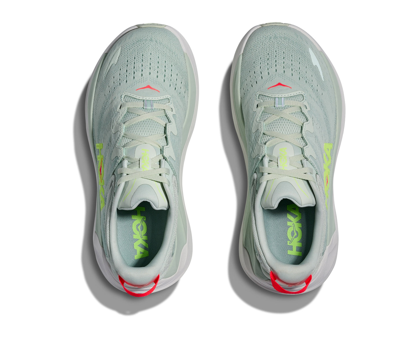 WOMEN'S GAVIOTA 6
